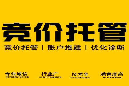 某公司SEM代理策略：实现流量转化